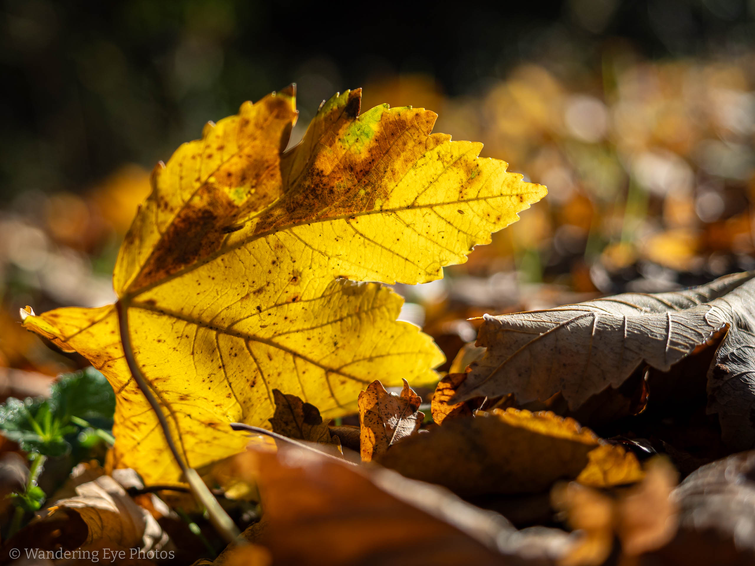 11.09 09.57.15   PB090008